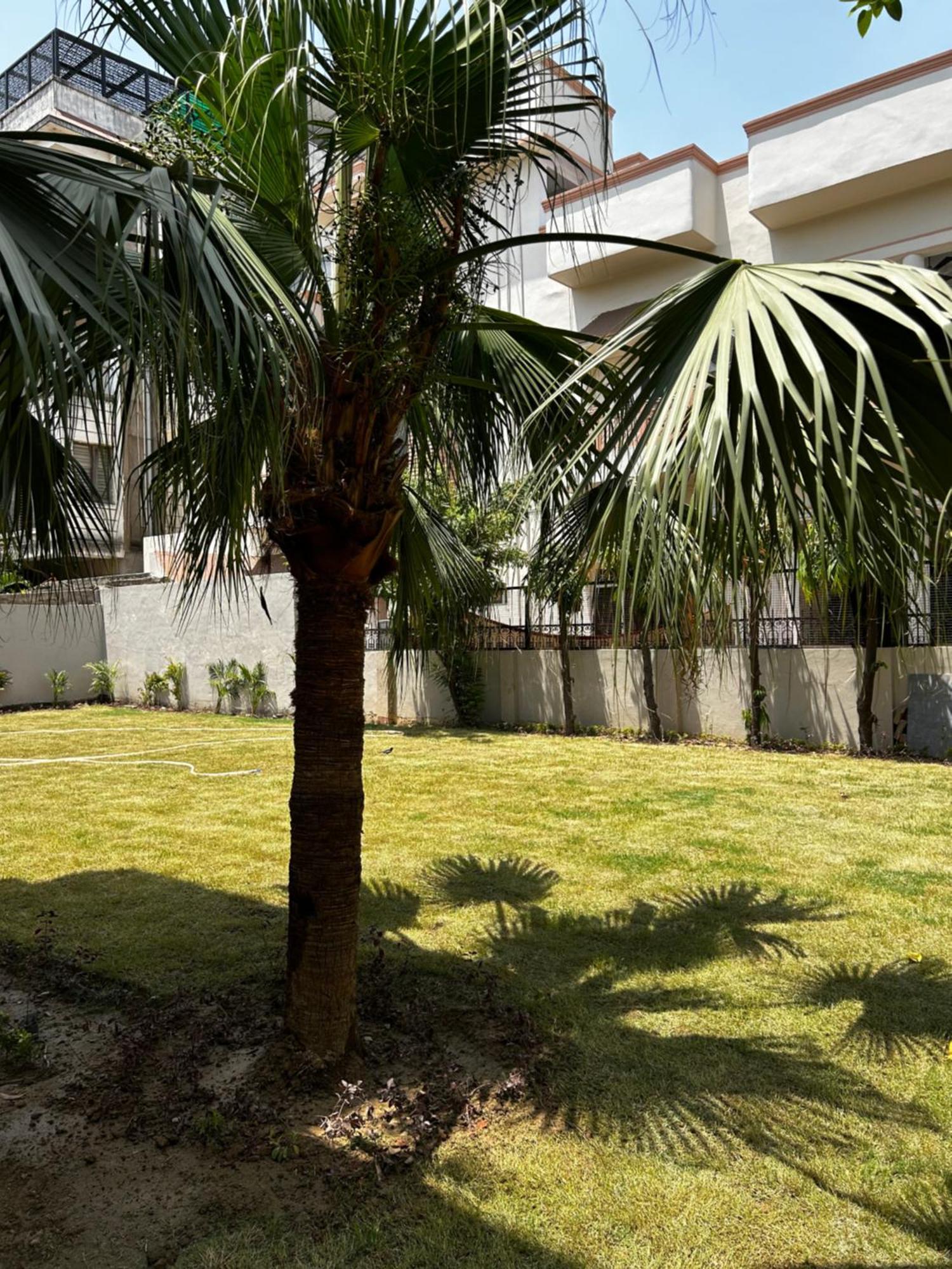 Ashirvad Homestay Váránasí Exteriér fotografie